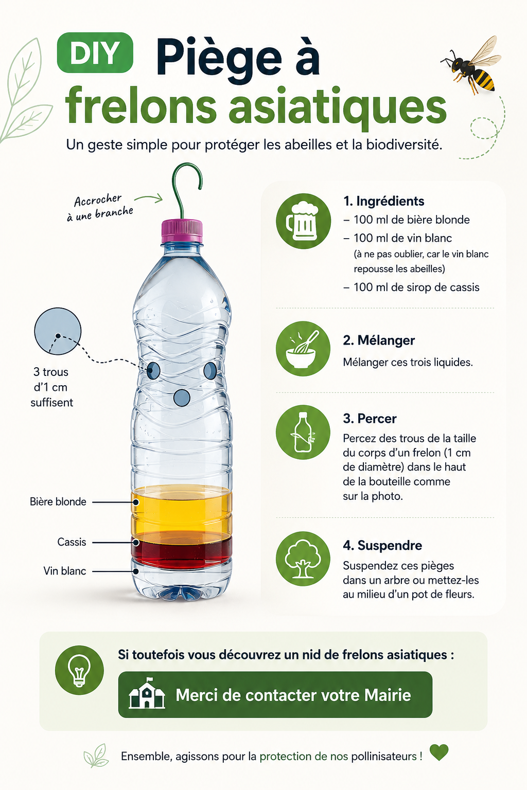Affiche piège à frelons