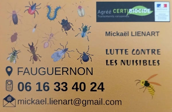 Carte de visite Mickaël Lienart